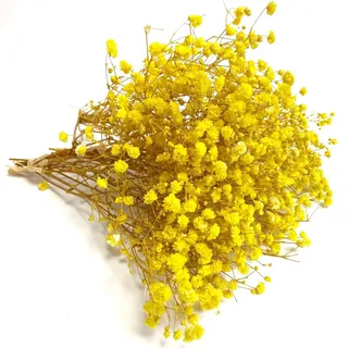 QZKJQDD Trockenblumen - Schleierkraut Getrocknet, Trockenblumen zum Basteln, Getrocknete Blumen Deko - Geeignet für Geschenkbox, Scrapbooks, Duftkerzen Handgefertigt (Gelb—5 Stöcke)