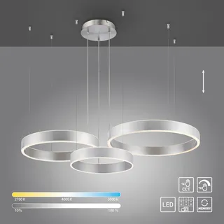 Paul Neuhaus Pendelleuchte »SCULLI« LED-Board 1 Stk. warmweiß - kaltweiß, grau