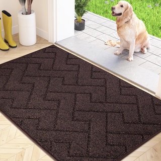 FCSDETAIL Schmutzfangmatte Innen 50 x 80 cm, rutschfeste Fußmatte, waschbar Sauberlaufmatte, absorbierend Türmatte, Fussmatte Teppich für Hund, Eingang, Haustür & Flur