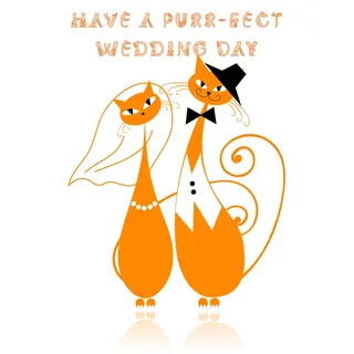 Half a Donkey Geschirrtuch, Baumwolle, orange/weiß, 47 x 65 cm