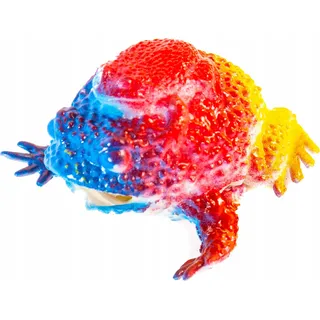 Antistress Frosch Quetschball Bunt - Lustiges Knautschtier Spielzeug für Stressabbau & Spaß
