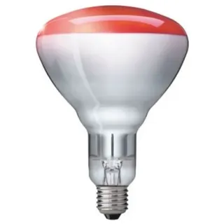 Philips IR 250RH BR125 E27