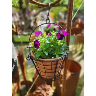 Pflanzkorb Gitter inkl. Topf