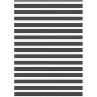 Best Möbel Zebrarollo Schwarz 160x200 cm Stoffbreite 155,9 cm Polyester - Rollos Cloris Neu8200424 1parcel - Schwarz