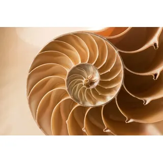 Papermoon Fototapete »Abstrakt«, bunt