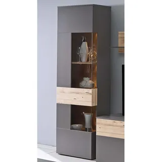 Forte Vitrine Höhe 203 cm inkl. Beleuchtung, Grau