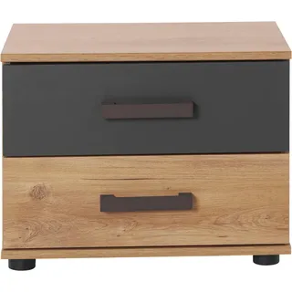 WIMEX Nachtschrank »Malmoe, Nachttisch 52x38x40cm, 2 Schubladen« einzeln oder im praktischen 2er Set, rusikaler look, Industrial Design, grau