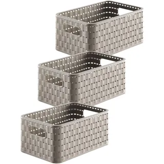 Rotho Aufbewahrungsbox 6 l 3-tlg. beige