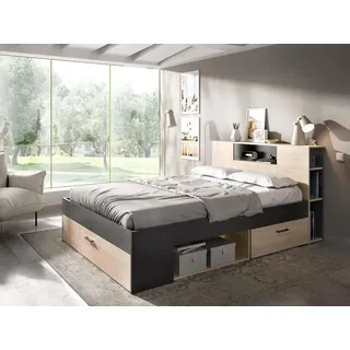 Dmora - Doppelbett Fariola, Struktur des Container-Betts, Sommier mit Verkleidung, Matratzenhalterstruktur, 150x219 h95 cm, Anthrazit und Eiche