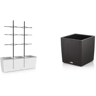 Lechuza Trio Cottage 30 Rankgitter, Neutral & Cube Cottage 30" Pflanzgefäß mit ERD-Bewässerungs-System, Granit, 30 x 30 x 30 cm