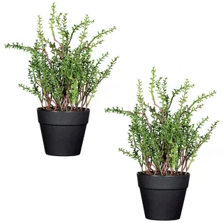 Creativ green Kunstpflanze »Zitronenthymian« im 2er Set, grün