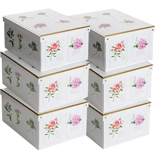 Set aus 6 Aufbewahrungsboxen mit Deckel – Große Kleiderboxen aus Karton 39x50x24 cm – Robust, leicht zu montieren, mit Tragegriffen – Perfekt für Kleiderschrank & Saisonwechsel Botanic