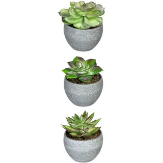 Creativ green Künstliche Zimmerpflanze »Sukkulenten«, grün