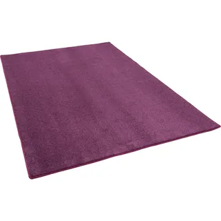 Snapstyle Snapstyle, Teppich, Hochflor Velours Teppich Luna (200 x 300 cm)