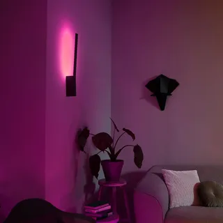 Philips Liane (Philips Hue) Schwarz