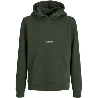 JACK & JONES JUNIOR Jjesoho Sweat Hood Noos Jnr