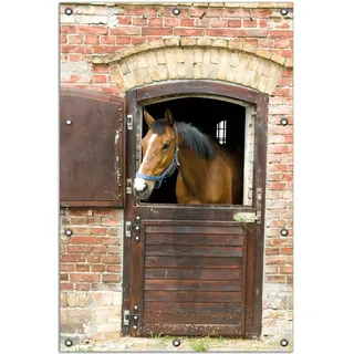 Wallario Outdoor-Poster für Garten oder Balkon, Motiv Pferd im Stall, in ca. 80 x 120 cm - Braun