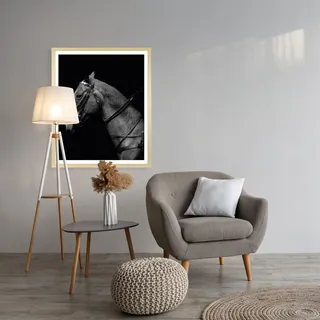 Queence Bild mit Rahmen "Pferd, Pferdeprofil", Foto Menschen Pferde Pferdebilder HD Premium Poster-Druck inkl. Echtholzrahmen in beige, farbe rahmen: beige, farbe bild(er): grau),