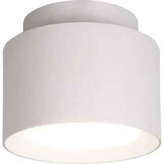 Näve Leuchten LED Spot TRIMES mit LED Platine dimmbar LED Spot TRIMES mit LED Platine dimmbar Spots - LED Spot "TRIMES" D: 11,5cm schwarz, Strahler im Modern Style, aus Kunststoff in schwarz, 9,5 cm hoch, Ø 11,5 cm, inkl. LED – dimmbar – CCT-Wechsler – Nachtlichtfunktion – Schiebeschalter – Trifft nicht zu - Weiß