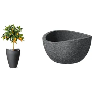 Scheurich Wave Globe High, Hochgefäß aus Kunststoff & Wave Globe Bowl, runde Pflanzschale aus Kunststoff, Schwarz-Granit, 40 cm Durchmesser, 21 cm hoch, 12 l Vol.