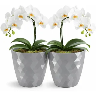 PECZEKO glänzender Blumentöpfe, Kunststoff-Pflanzentöpfe, dekorativer Blumentopf für große und kleine Blumen, 2er-Set Blumentöpf, Pflanztopf, Kräutertopf, (2 Pack) Grau, ø 14 cm