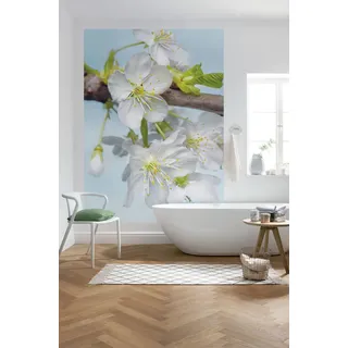 KOMAR Vlies Blossom 184 x 248 cm , Fsc