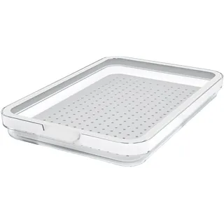 Rotho Frischhaltedose transparent 1,3 l