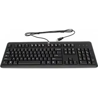 HP USB Tastatur NO schwarz (672647-093)