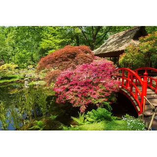 Papermoon "GARTEN-BLUMEN BÄUME PFLANZEN STEINE WALD PARK BLÜTEN", bunt,
