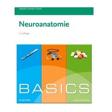 Basics Neuroanatomie