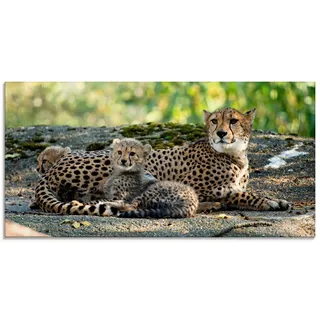 ARTland Glasbild »Gepard 2«, Wildtiere, (1 St.), in verschiedenen Größen, braun