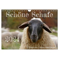 Bild Schöne Schafe Wandkalender 2024 - A4