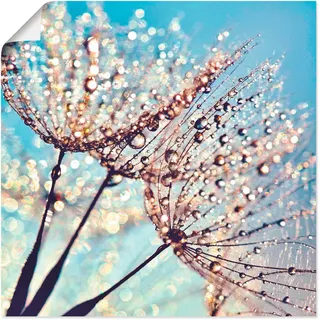 Artland Poster "Pusteblume Tröpfchenfänger" Blumen 1 Stk. tlg. ohne Rahmen, farbe bild(er): blau