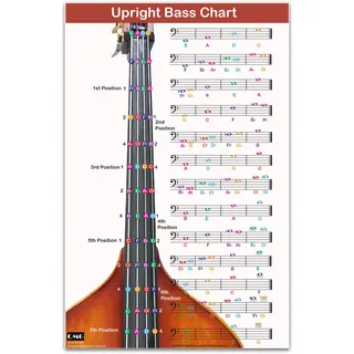 QMG Aufrechte Bassgrifftabelle mit farbcodierten Noten, Kontrabass-Diagramm für alle Ebenen, laminiert, Größe 27,9 x 43,2 cm