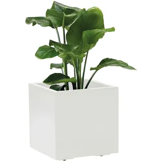 Blumenkasten , Weiß , Kunststoff , 39.5x39.5x39.5 cm , stabil, wetterfest, wetterbeständig, UV-beständig , Dekoration, Blumen & Blumentöpfe, Übertöpfe