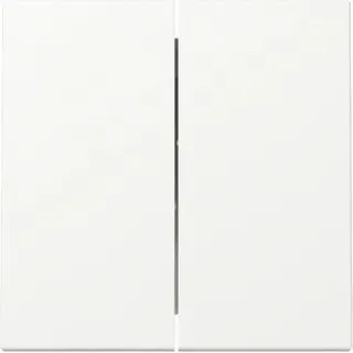 Gira 329527 Wippe 2f Sys.55 rws m