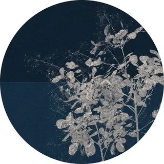 KOMAR Vlies Fototapete Branch Ø 125 cm selbstklebend