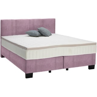 Hom`in BOXSPRINGBETT Lila - 180x200 cm