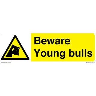 Schild mit Aufschrift "Beware Young Bulls", 300 x 100 mm, L31