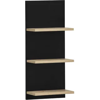 Schildmeyer Emmik Büroschrank 30,3 x 17,5 x 70,2 cm schwarz