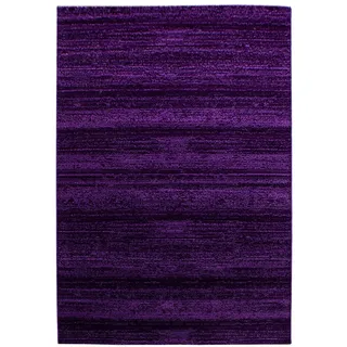 Ayyildiz Plus 8000 Webteppich 120 x 170 cm Lila
