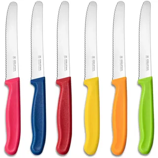 targzier Frühstücksmesser 6 Stück, Kunststoffgriff Brötchenmesser,Edelstahl Tomatenmesser Set,Tafelmesser Wellenschliff,Messerset zum Schneiden,Scharfe Messer für Brotzeit(Bunte),Spülmaschinenfest