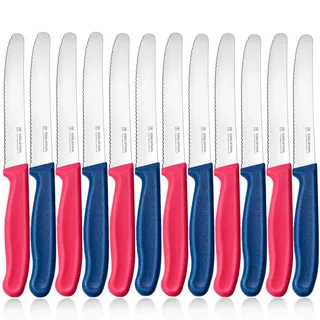 targzier Frühstücksmesser Set 12 Stück,Hochwertige Edelstahl Tafelmesser,Langlebiges Bunte Tomatenmesser,Kunststoffgriff Brötchenmesser Wellenschlif,Schneidemesser,Scharf Messer(Rosy und Blau)