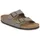 Arizona Birko-Flor