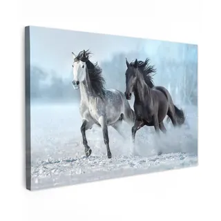 MuchoWow Leinwandbild Pferde - Winter - Tiere - Natur - Schnee Groß 140x90 cm , Textil , Rechteckig , 140x90 cm , FSC 100% , gerahmt , Bilder & Rahmen, Bilder, Leinwandbilder