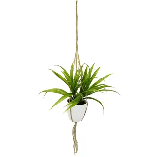 Künstliche Dracena in Hängeampel Dekopflanze Deko Blume Pflanze Grünpflanze hängend Blumenampel Wand Blumentöpfe zum Aufhängen Pflanzenhalter Seil Seidenblume Real Touch grün Kunstpflanze Büropflanze