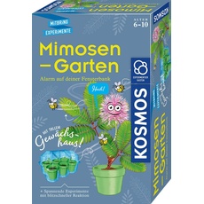 Bild Mimosen-Garten