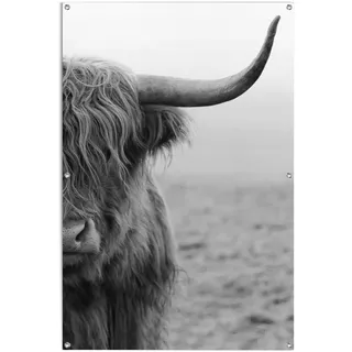 Reinders Poster "Highlander Bulle" leichtes und wasserfestes Gartenposter für den Außeneinsatz, farbe bild(er): schwarz, weiß
