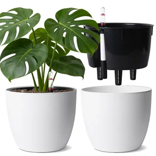 T4U 20cm Selbstbewässerungstopf Rund 2er Blumentopf Groß für Monstera, Weiß | Self Watering Pot, Rosmarin, Große Zimmerpflanzen, Hydrokultur Topf, Wasserspeicher, Terrasse, Urlaubspflege, Innen, Außen