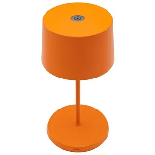 Olivia Pro Mini orange